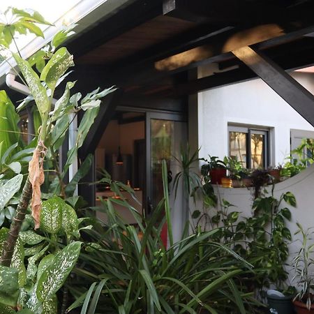 Luxury Cosy Guesthouse Pamplemousses Kültér fotó