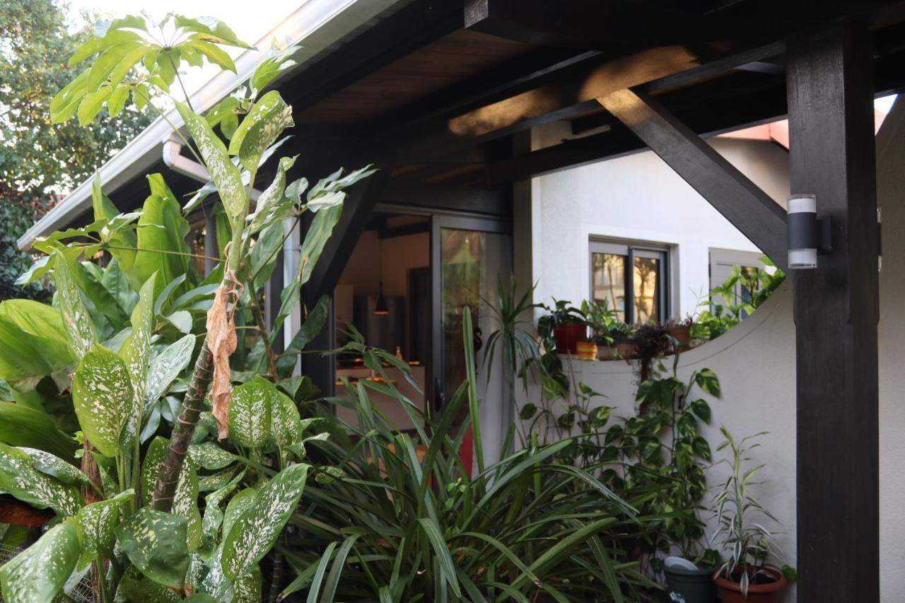 Luxury Cosy Guesthouse Pamplemousses Kültér fotó